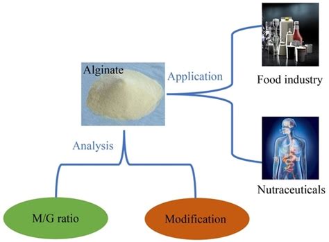  Alginate: วัสดุชีวภาพที่อเนกประสงค์สำหรับการแพทย์และอุตสาหกรรมอาหาร!